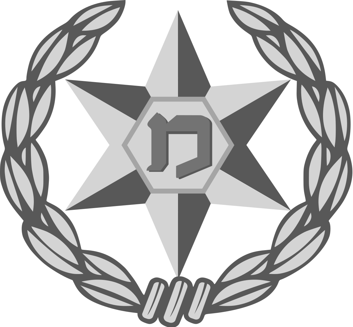 Israeli Police logo